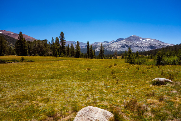 Yosemite Tuolumne Meadows 2